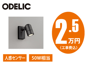 オーデリック OG254567LR/NR