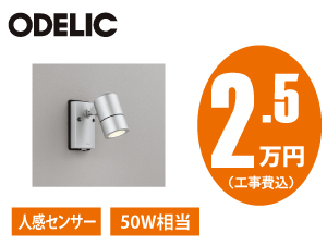 オーデリック OG254568LR/NR